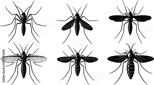 Vector, black, silhouettes, of, various, mosquitoes, including, different, species, and, wing, positions, for, pest, control, health, science, malaria, and, insect, prevention, designs (22 words)