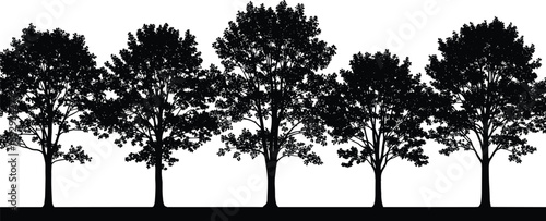 PrintBlack silhouettes of diverse tree species including pine palm willow and deciduous forest trees set isolated on white background for landscape graphic design