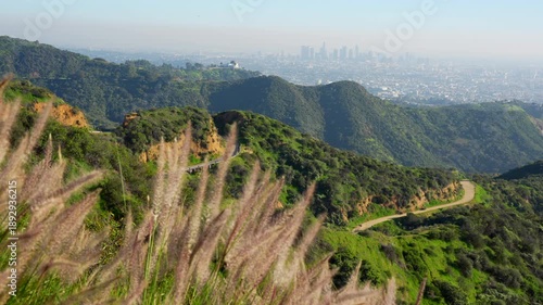 Scenic view from a dirt trail in Griffith Park, looking out over the vast, hazy cityscape of Los Angeles. An editorial shot capturing the urban sprawl and nature.