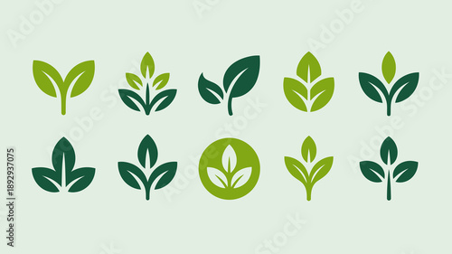 A collection of four distinct green leaf designs are displayed against a pale green background showcasing variations in shape and style high quality professional detailed modern