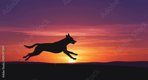 A dog running freely in an open field during a vibrant sunset viewed from a distance