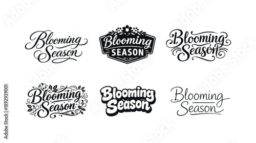 Seasonal Lettering Styles. Blooming season lettering. Set lettering. harmonious lettering variations of the same emblematic concept, each with different