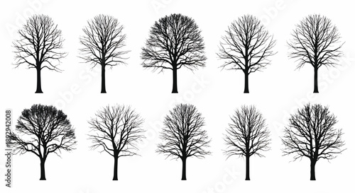 Silhouettes of bare trees in winter vector illustration