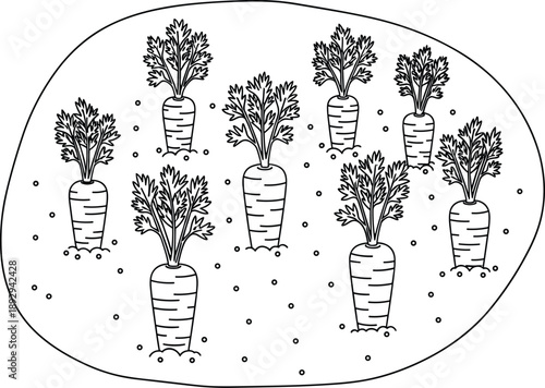 PrintCollection of hand drawn carrot icons growing in a garden patch representing organic farming fresh vegetables and healthy vegan nutrition.