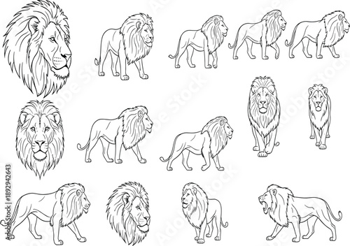 PrintCollection of hand drawn lion icons featuring powerful male lions in various poses including walking standing and detailed head portraits.
