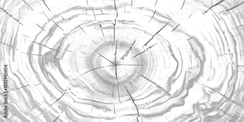 A monochromatic illustration of a tree trunk cross section with prominent growth rings and radiating cracks