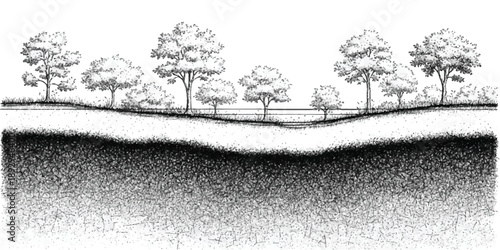 A detailed cross-section illustration of a landscape with trees and subsurface soil layers