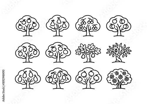 Fruit Tree Icons. Fruit trees. Line icon set of Fruit trees: apple tree, pear tree, cherry tree, peach tree, plum tree, citrus tree, fig tree, olive tree,