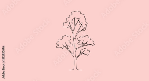 Minimalist Line Art Tree Illustration with Delicate Branches.