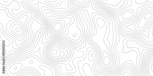 Topographic contour curves forming abstract geographic landscape