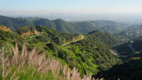 Panoramic view of the Los Angeles downtown skyline from the green Hollywood Hills on a sunny day. A winding road snakes through the landscape.
