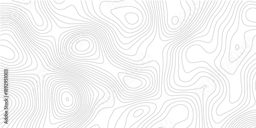 White paper topography background with abstract contour lines
