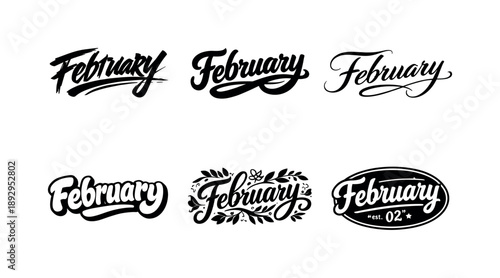 Stylized Lettering Variations. Stylish February brush lettering. Set lettering. harmonious lettering variations of the same emblematic concept, each with