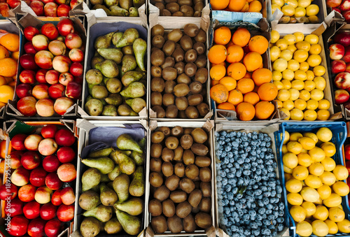 Top-down view of assorted fruits in boxes including apples, pears, kiwi, citrus, and plums, creating a colorful grid that represents diversity, harvest season, and food supply.