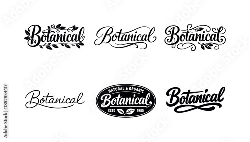 Harmonious Botanical Lettering. Botanical lettering. Set lettering. harmonious lettering variations of the same emblematic concept, each with different