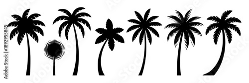 Eight black silhouette palms against a crisp white background, minimal tropical design for beach or travel branding. featuring palm tree, vacation, vacation decor with home decor and nature elements