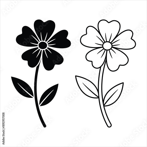 Two identical flower, highlighting the clean lines and harmonious shapes found in nature.