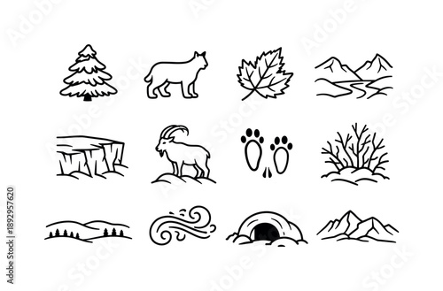 Winter Wildlife Icons. Snowy landscapes with animals in winter habitats. Line icon set of snowy landscapes with animals in winter habitats: snow-dusted pine,