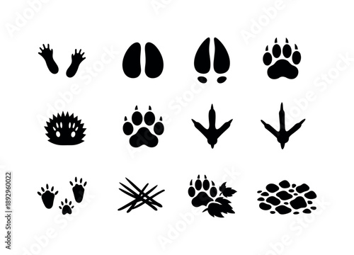 Forest Animal Tracks. Forest Animal Footprints. Solid icon set of Forest Animal Footprints: squirrel track, wild boar hoof print, elk hoof print, badger paw