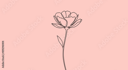 Minimalist Single Line Drawing of a Delicate Flower.