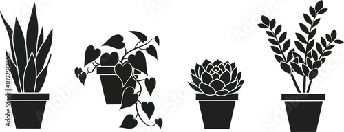 Four distinct potted houseplants are shown as black silhouette icons including a snake plant, a trailing vine, a succulent, and a ZZ plant.