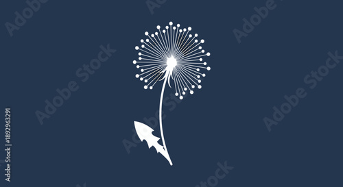 Minimalist White Dandelion Seed Head Illustration on Dark Blue.