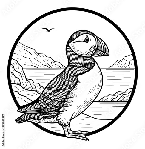 Atlantic puffin bird standing on a rocky coast near the sea. Isolated transparent background ( include cut-out PNG file )