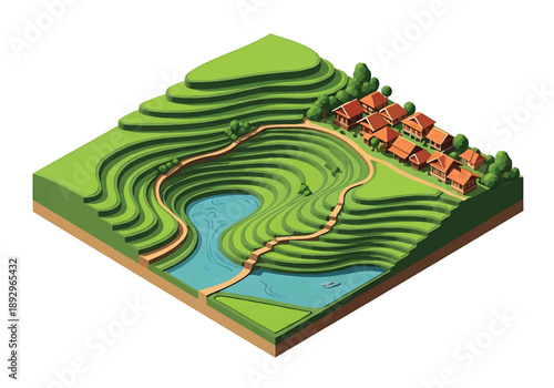 Isometric 3D view illustration of a rice terrace landscape with layered fields, hills, irrigation paths, and village elements, modern vector scenery inspired by Asian countryside