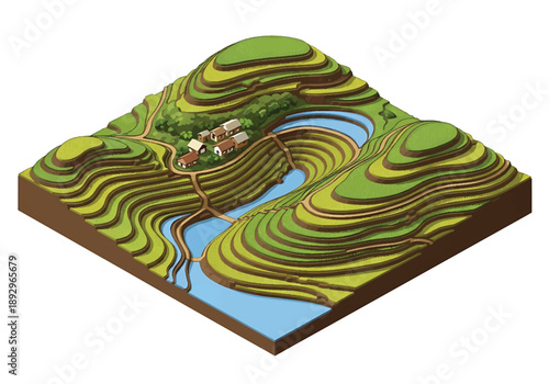 Isometric 3D view illustration of a rice terrace landscape with layered fields, hills, irrigation paths, and village elements, modern vector scenery inspired by Asian countryside