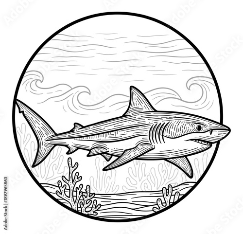 Line art shark swimming among coral and waves within a circular frame.Isolated transparent background ( include cut-out PNG file )