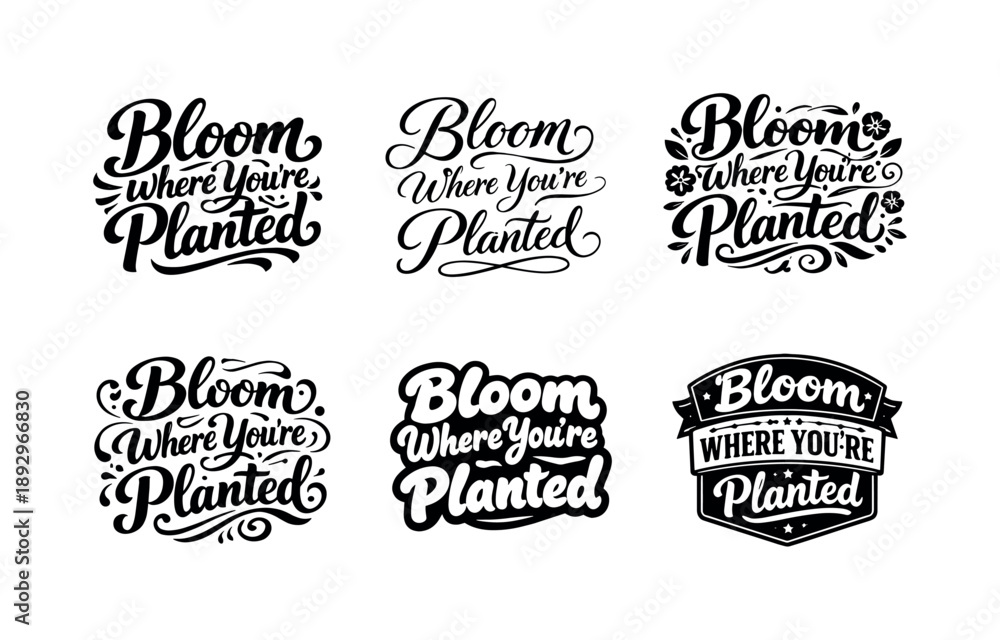 Obraz premium Harmonious Lettering Variations. Bloom Where You?re Planted. Set lettering. harmonious lettering variations of the same emblematic concept, each with different