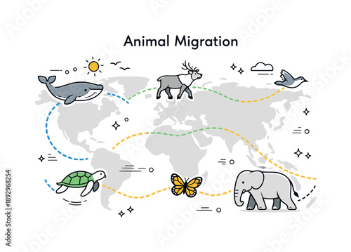 Animal Migration Map. Animal migration. A simplified map-style scene showing migration routes marked with dotted lines and animal icons. The illustration