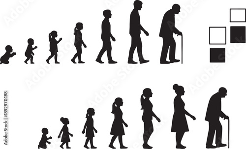Human growth and aging stages illustrated in flat silhouettes from baby to elderly also transparent background