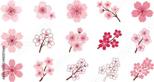 Pink cherry blossom on white background pink flowers floral blossoms branches
