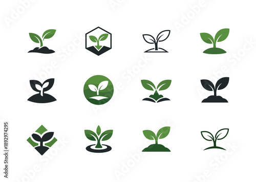 Seedling Logo Variations. Seedling. Icon set. Set Logo of Seedling: sustainable growth. harmonious logo variations of the same emblematic concept, each with