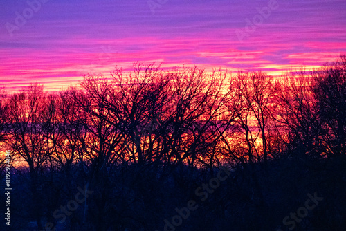sunset over the field