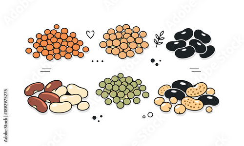 Lentils and Beans Flatlay. Lentils and beans flat lay. Top-down arrangement of lentils and mixed beans grouped neatly, natural texture and wholesome