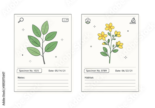 Pressed Plant Artistry. Pressed plant specimen sheets. Leaves and flowers carefully spaced on individual pages, neutral tones and gentle shadows. Preservation,