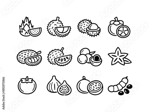Exotic Fruit Icons. Exotic fruits. Line icon set of Exotic fruits: dragon fruit, durian, rambutan, mangosteen, jackfruit, soursop, longan, starfruit,