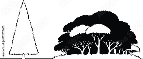 Vector illustration of coniferous and deciduous trees in minimalist style, forest ecosystem contrast, natural structure and symmetry concept