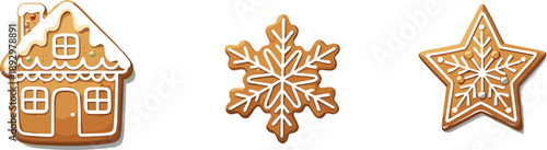 Vector illustration of decorated gingerbread cookies shaped as house, snowflake, and star, festive holiday baking concept, Christmas treat design