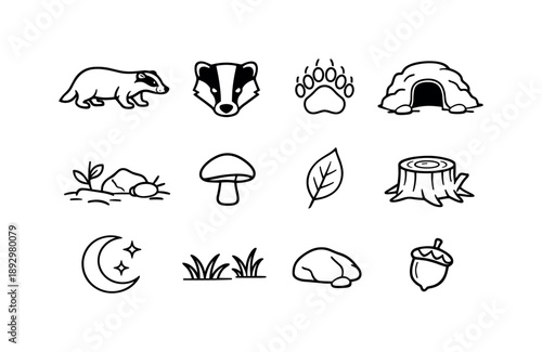 Badger Icon Collection. Badger. Line icon set of Badger: badger side view, badger head, badger footprint, badger burrow entrance, forest ground, mushroom,