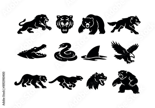 Dangerous Animal Icons. Dangerous Predatory Animals. Solid icon set of Dangerous Predatory Animals: attacking lion, snarling tiger, charging bear, lunging