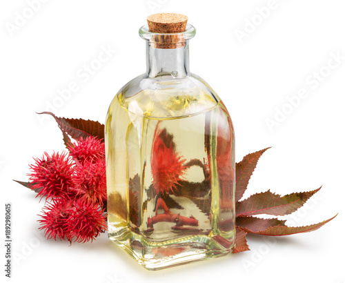 Bottle of castor oil and red spiny seed pods of Castor Bean on white background. File contains clipping paths.