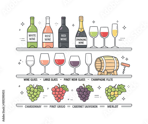Wine Collection Display. Wine collection overview. Bottles, glasses, and grape varieties arranged in a simple shelf-style layout. Educational and tasteful