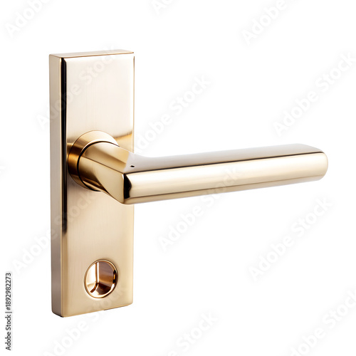 Modern Polished Brass Door Handle on Plate TRANPARENT BACKGROUND