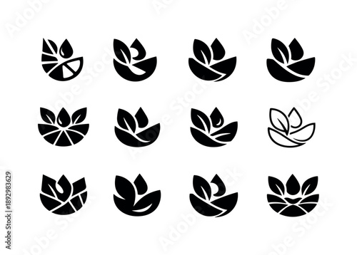 Raw Food Icon Set. Raw. Icon set. Set Logo of Raw: raw food ingredient shape. harmonious logo variations of the same emblematic concept, each with different