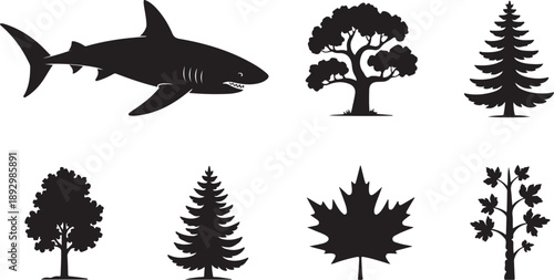 Aquatic predator and various trees silhouettes: A collection of various tree silhouettes and an aquatic predator, each an icon of nature's varied forms, presented in striking silhouette.