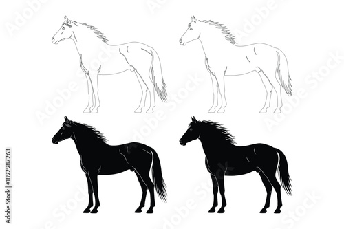 Horse Silhouettes and Outlines: Standing Stallions