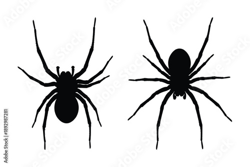 Spider Silhouettes: Two Spiders, One Top View, One Front